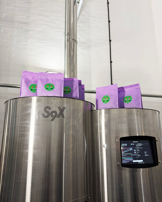 24016_AnoxicWashed_Shyira_Rwanda (UK)